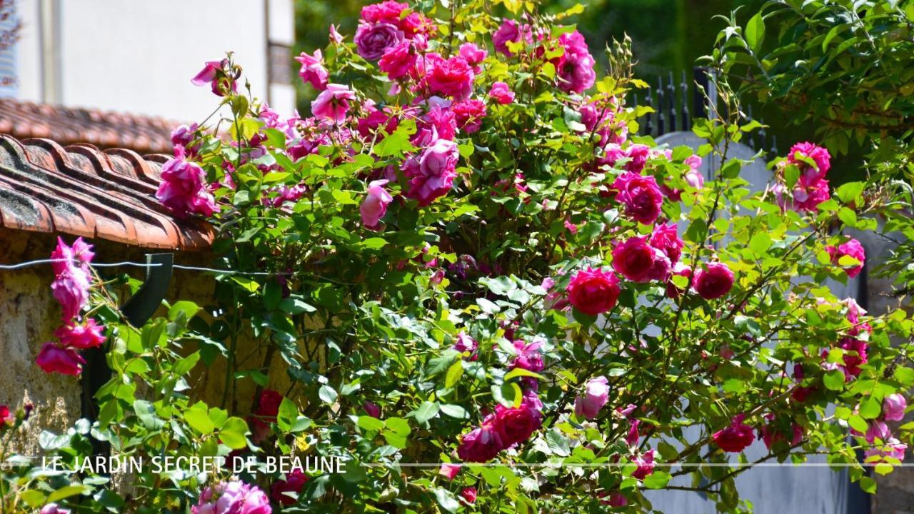Le Jardin Secret De Beaune Μπον Εξωτερικό φωτογραφία